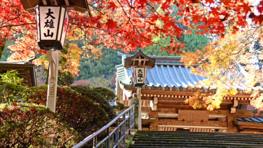 <Web割対象商品>【キングツアーバス旅】錦秋の古社寺めぐり 大山詣りと大雄山最乗寺 ランチバイキング〔聖蹟桜ヶ丘・多摩センター発〕2
